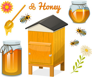 honey set bee and hive spoon honeycomb vector image