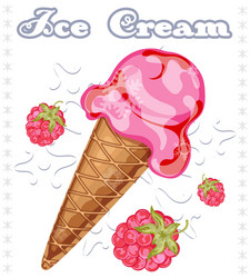 Raspberry ice cream vector