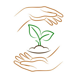 hands holding soil with plant sign vector image