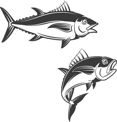 set of tuna icons vector image