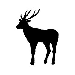 large collection of deer silhouettes vector image