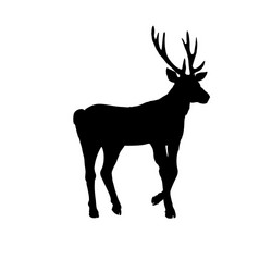 large collection of deer silhouettes vector image