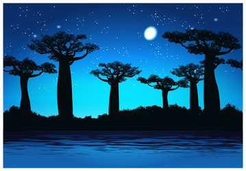 baobabs at night vector image