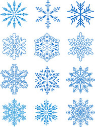 12 snowflakes vector image