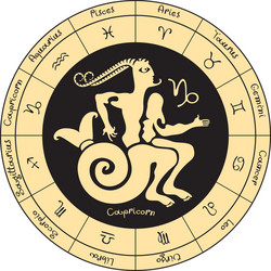 aquarius with the signs of zodiac vector image