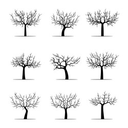 set black apple trees vector image