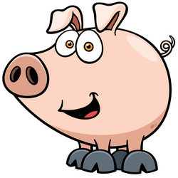 pig vector image