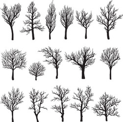 trees without leaves black graphic silhouette icon vector image