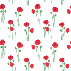 floral seamless pattern with red poppy flowers vector image