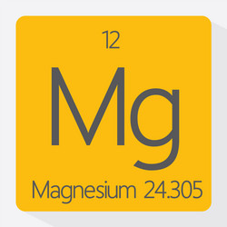 magnesium vector image