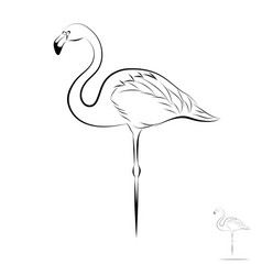 stylized flamingo vector image