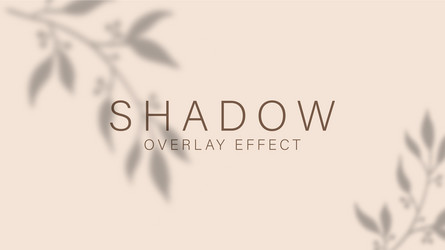 shadow overlay effect transparent soft light vector image