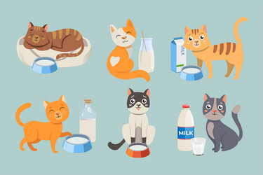 cute cat cartoon characters with milk set vector image