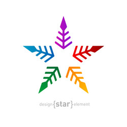 colorful star abstract design element on white vector image