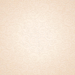 decorative ornamental beige background vector image