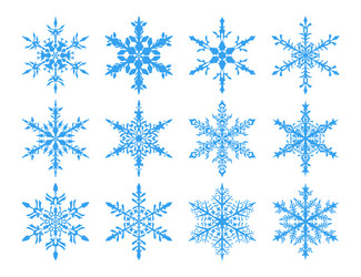 set of snowflakes vector image