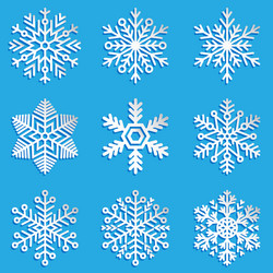 snowflakes set elegant vector image