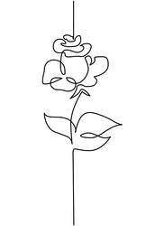 rose flower logo continuous one line drawing vector image