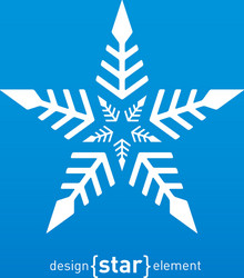 original snowflake vector image