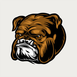 colorful angry bulldog head vector image