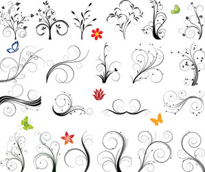 floral vector image