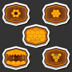 on theme for label of sugary flowing down honey vector image