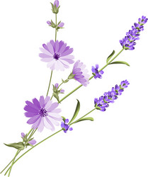 label with lavender vector image