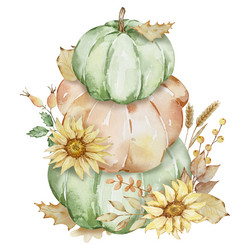 autumn of watercolor pumpkins and sunflowers vector image