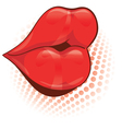 sexy red female lips vector image