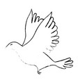 dove icon image vector image