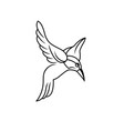 colibri or humming bird icons isolated set vector image