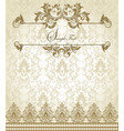 vintage lace vector image