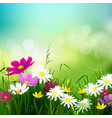 hello summer background vector image