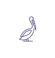 pelican gulf bird coast beach logo icon vector image