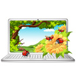 ladybugs in garden on computer screen vector image