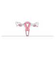 one continuous line drawing of woman uterus ovary vector image