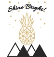 glitter shimmery pineapple print with shine bright vector image