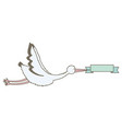 stork bird flying with ribbon frame vector image