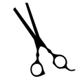 black scissors vector image