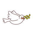 cute dove with olive branch vector image