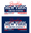 new york brooklyn t-shirt print and apparel design vector image