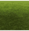 auto traced background nature grass vector image