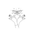 magic hands with night moth in line art style vector image