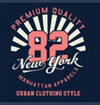 graphic premium quality new york vector image