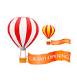 hot air balloon vector image