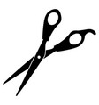 scissors on a white background vector image