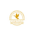 bird logo design inspiration vector image