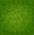 green grass field nature background vector image