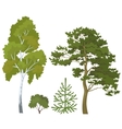 forest plants set vector image