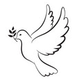 dove peace image vector image